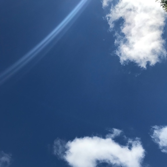 Meet your Posher, Annajade - Picture 1 of 1